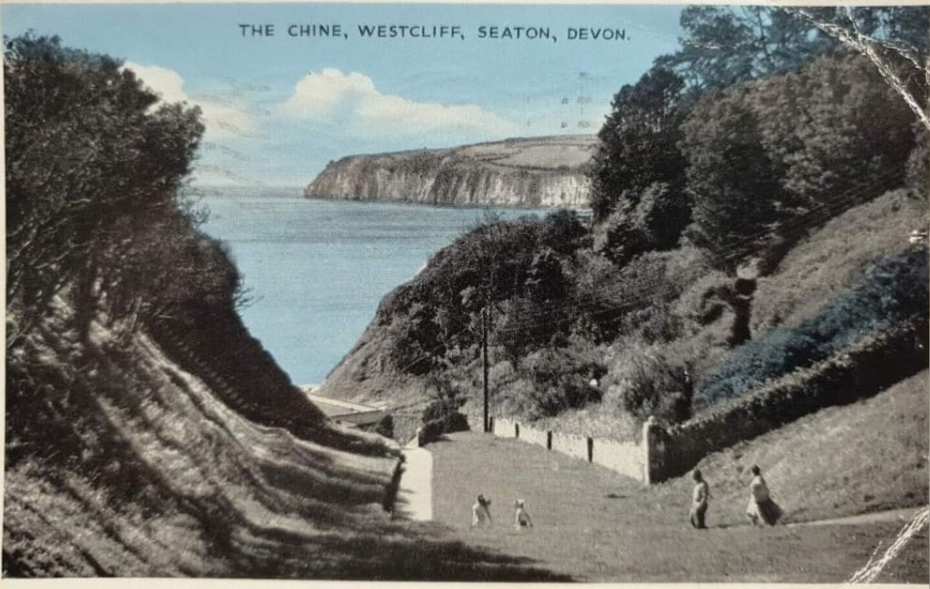 The Chine Westcliff Seaton