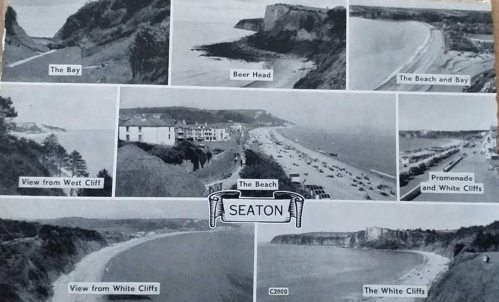 A Multiview Postcard Of Seaton 15