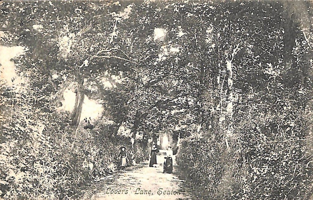 An Old Picture Of Seaton East Devon 32