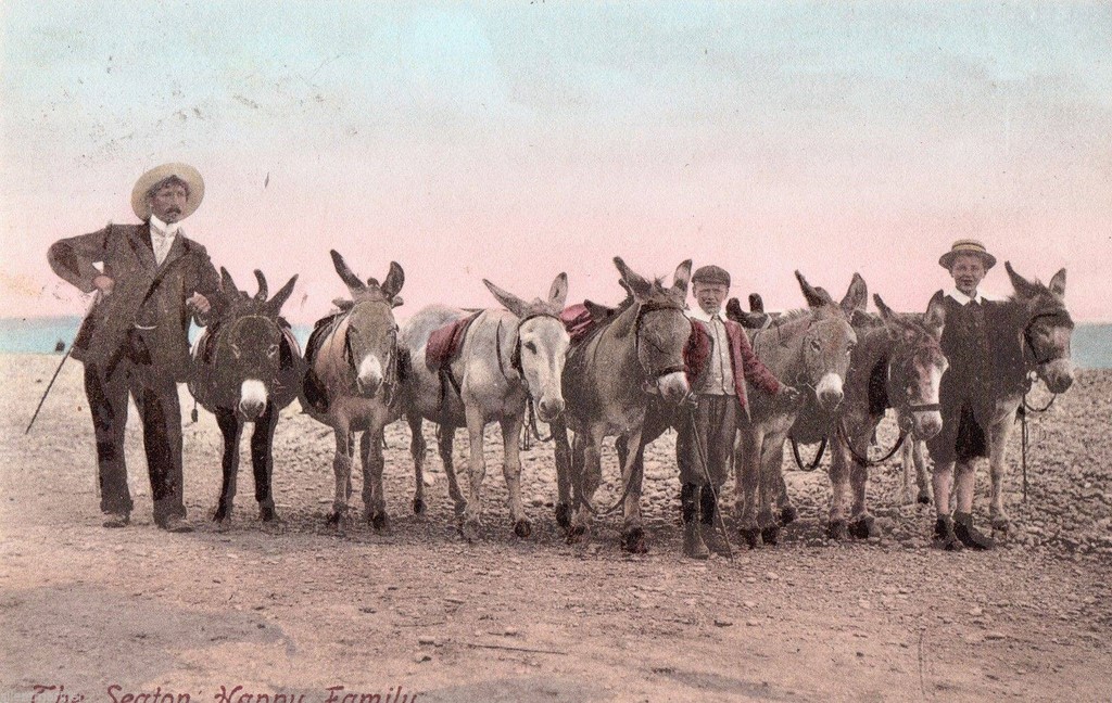 Colourised Old Postcard Of Seaton 17