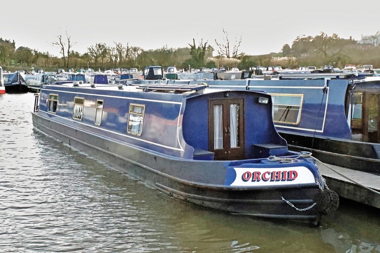 Shared narrow boat Orchid