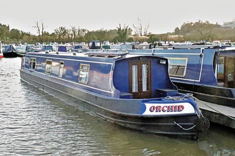 Shared narrow boat Orchid
