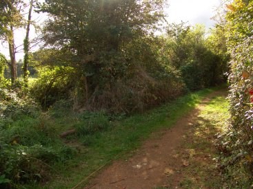 Priory Field