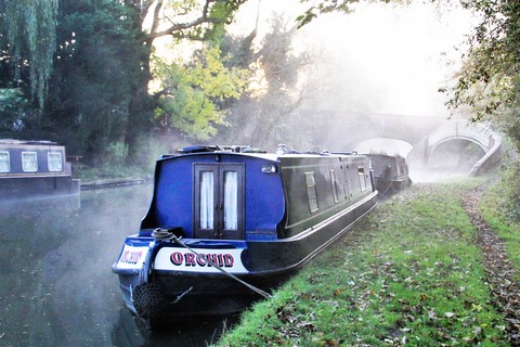 Shared narrow boat Orchid