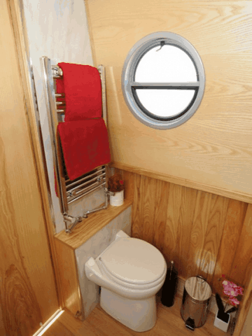 Shared narrow boat Dawn Treader