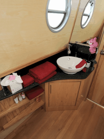 Shared narrow boat Dawn Treader