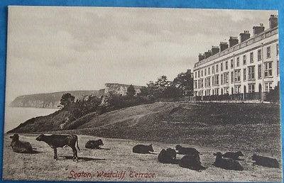 Westcliff Terrace