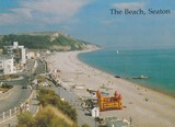 The Beach Seaton