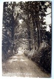 An Old Picture Of Seaton East Devon 33